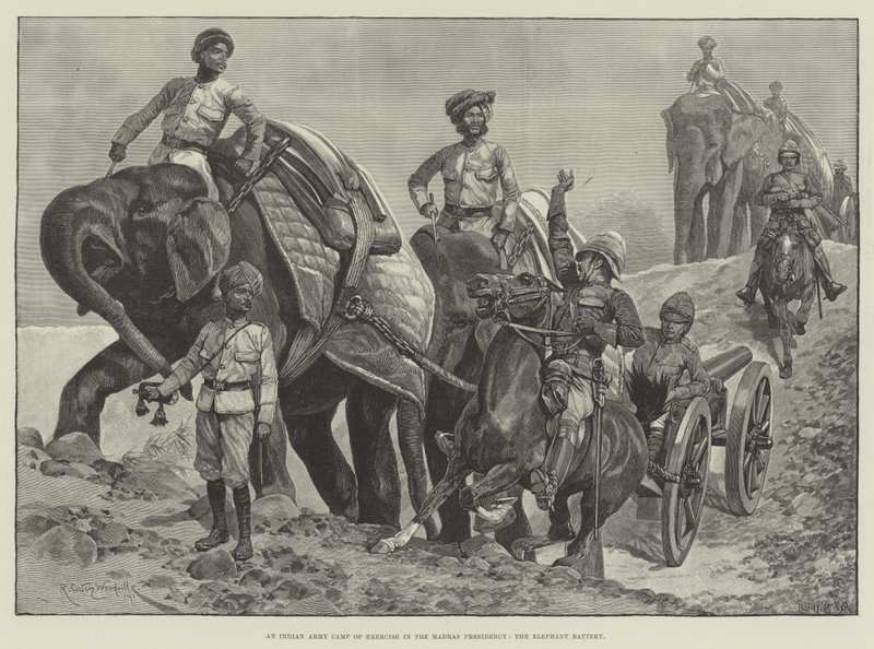 En indisk hærs øvelseslejr i Madras-præsidentskabet, Elephant Battery af Richard Caton Woodville junior