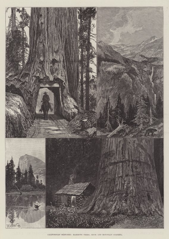 Californiske skitser, mammuttræer, klippe- og bjerglandskab af Richard Caton Woodville junior