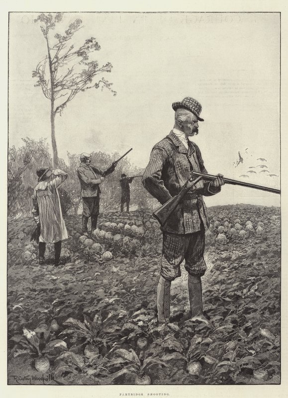 Agerhønsskydning af Richard Caton Woodville junior