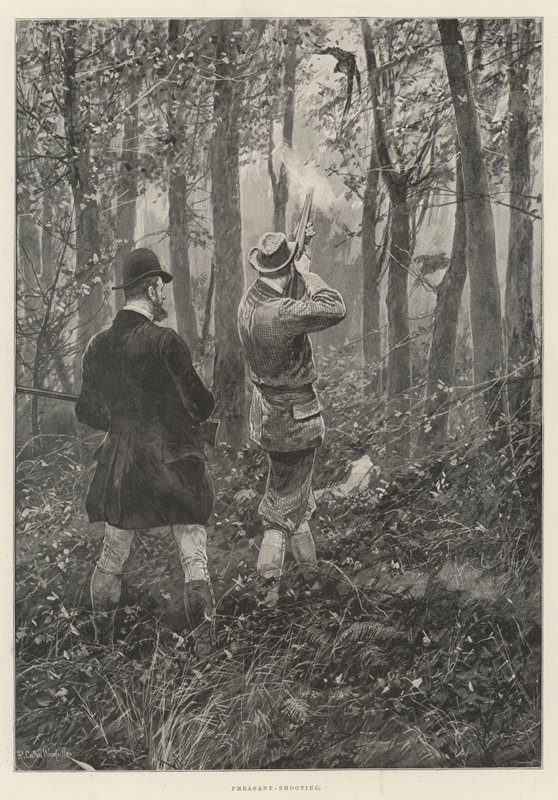 Fasan-skydning af Richard Caton Woodville junior