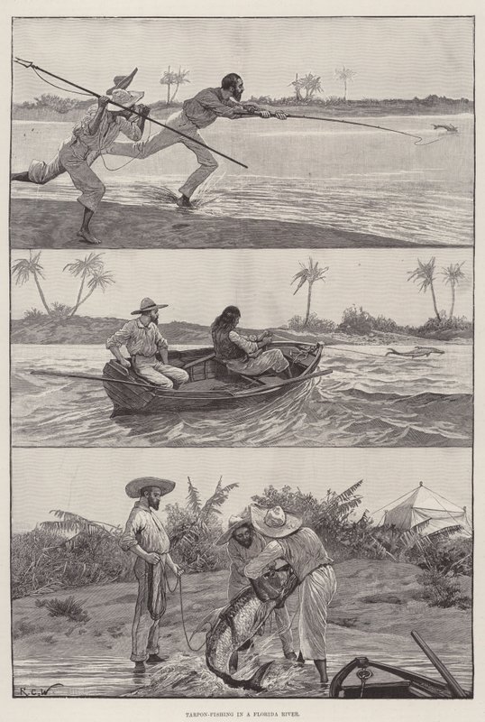 Tarpon-fiskeri i en Florida-flod af Richard Caton Woodville junior