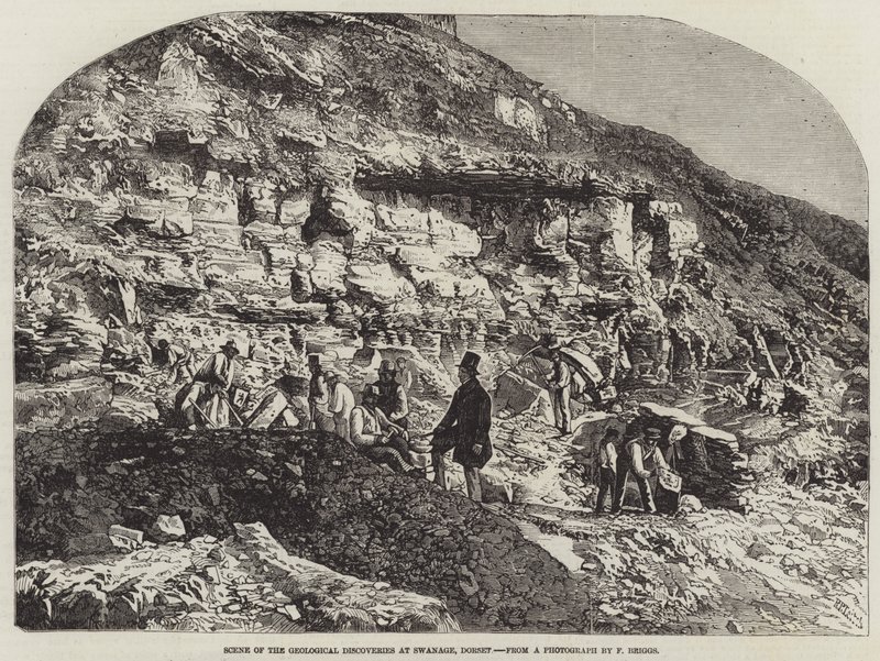 Scene af de geologiske opdagelser ved Swanage, Dorset af Richard Principal Leitch