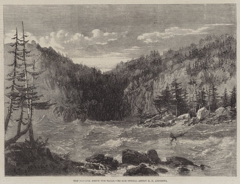 Niagara over vandfaldene af Richard Principal Leitch