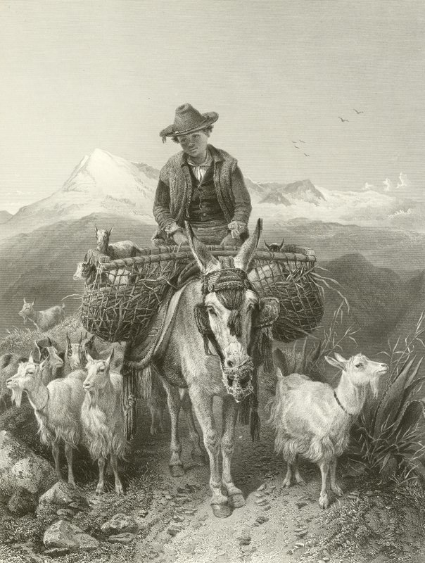 Gedehyrden i Granada af Richard Ansdell