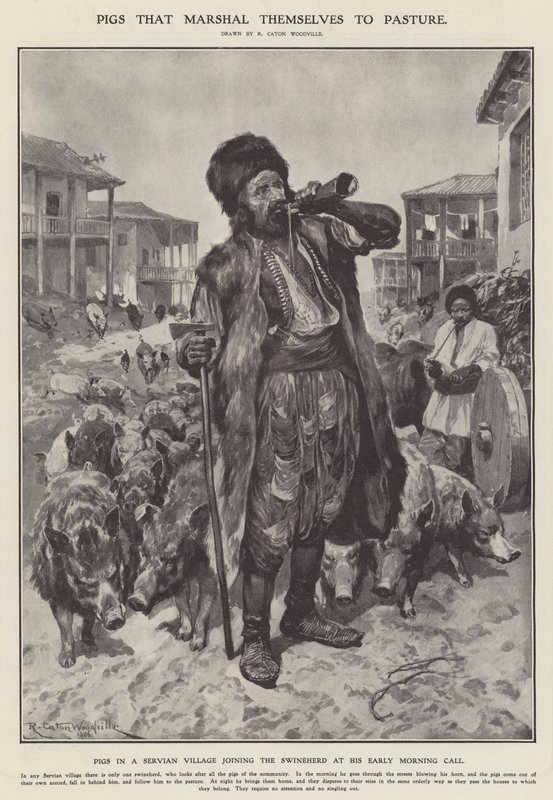 Grise, der går på græs (litho) af Richard Caton II (after) Woodville