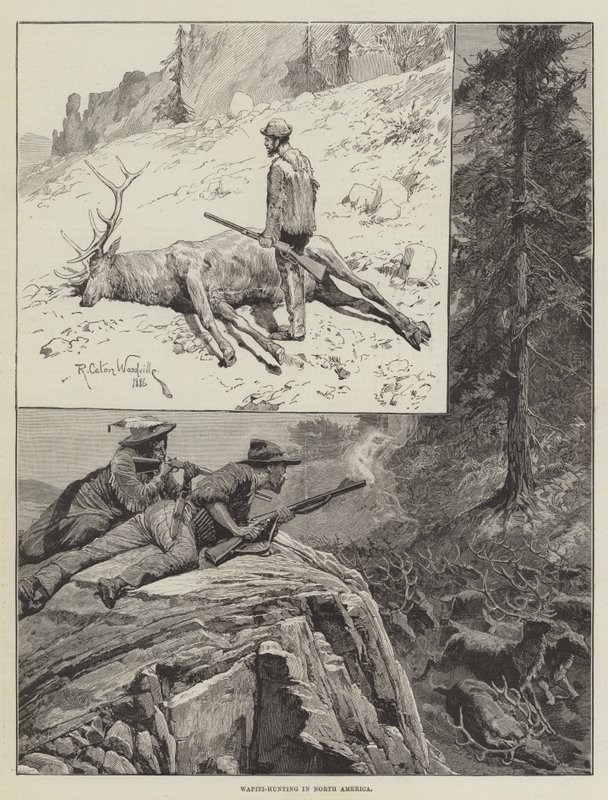 Wapiti-jagt i Nordamerika (gravering) af Richard Caton II (after) Woodville