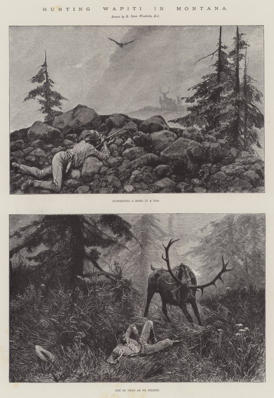 Jagt Wapiti i Montana af Richard Caton Woodville junior