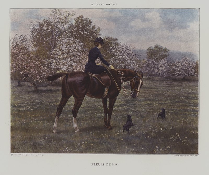 maj Blomster af Richard Doyle