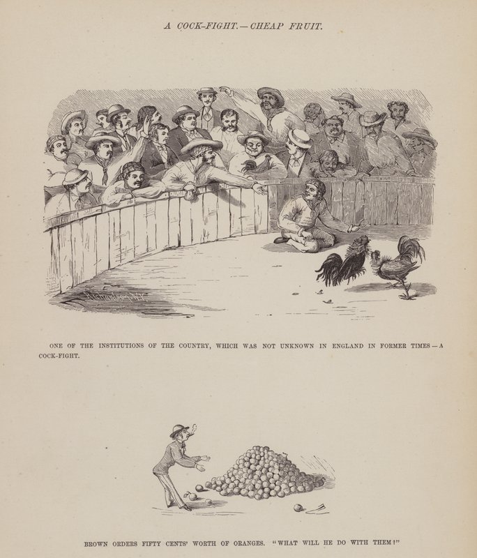 Side fra The American Tour of Mrs Brown, Jones and Robinson (gravering) af Richard Doyle