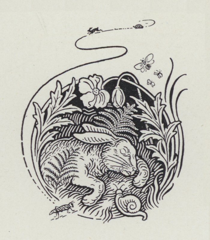 Haren og skildpadden (gravering) af Richard Heighway