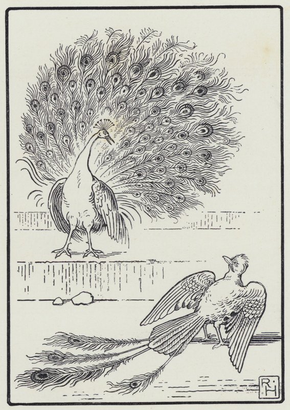 Jay And The Peacock (gravering) af Richard Heighway