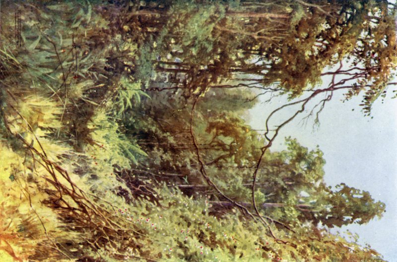 En skovglade af Robert George Talbot Kelly
