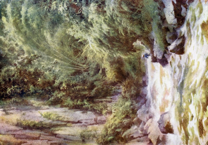 En bjergtorrent af Robert George Talbot Kelly