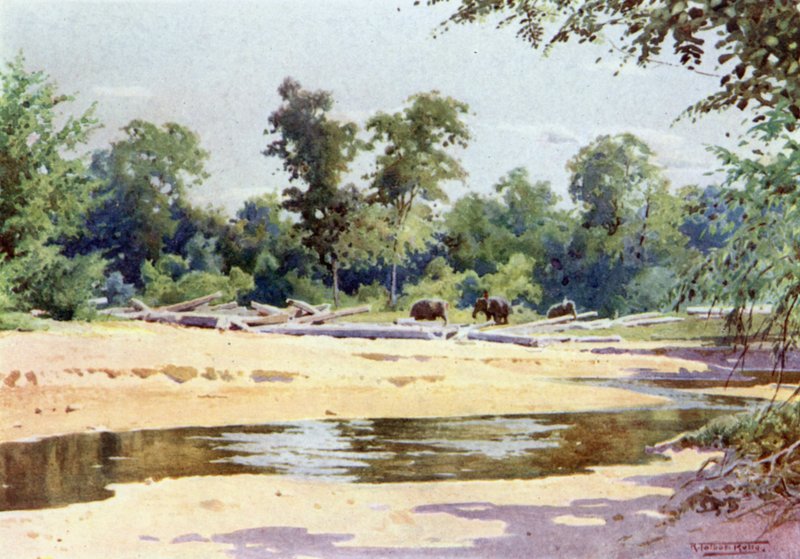 Elefanter rydder en Pone for Logs ved Kokogon af Robert George Talbot Kelly