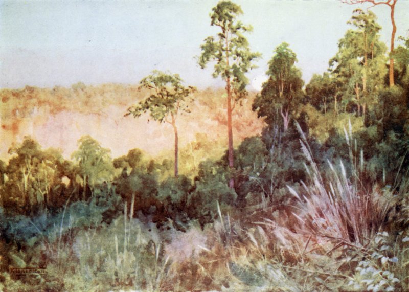 Jungle på Lashio-linjen af Robert George Talbot Kelly