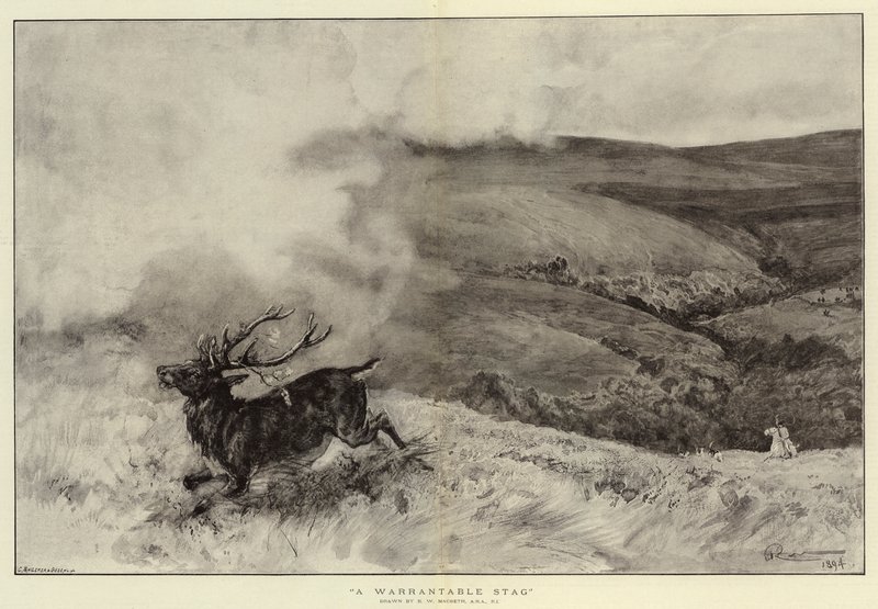 En berettiget hjort af Robert Walker Macbeth