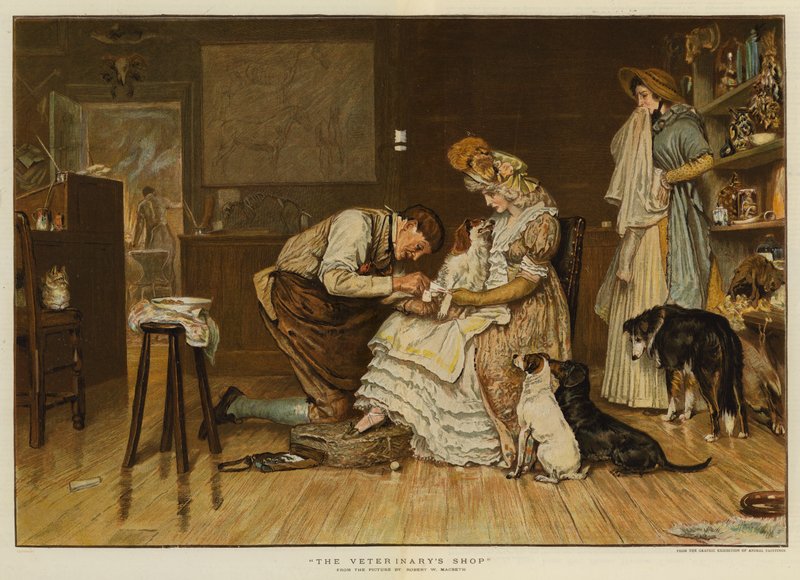 Dyrlægens butik (chromolitho) af Robert Walker Macbeth