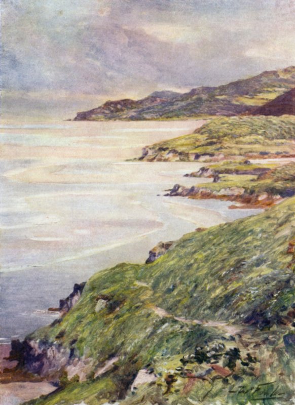 A Lonely Shore, Barmouth Estuary (farve litho) af Robert (after) Fowler