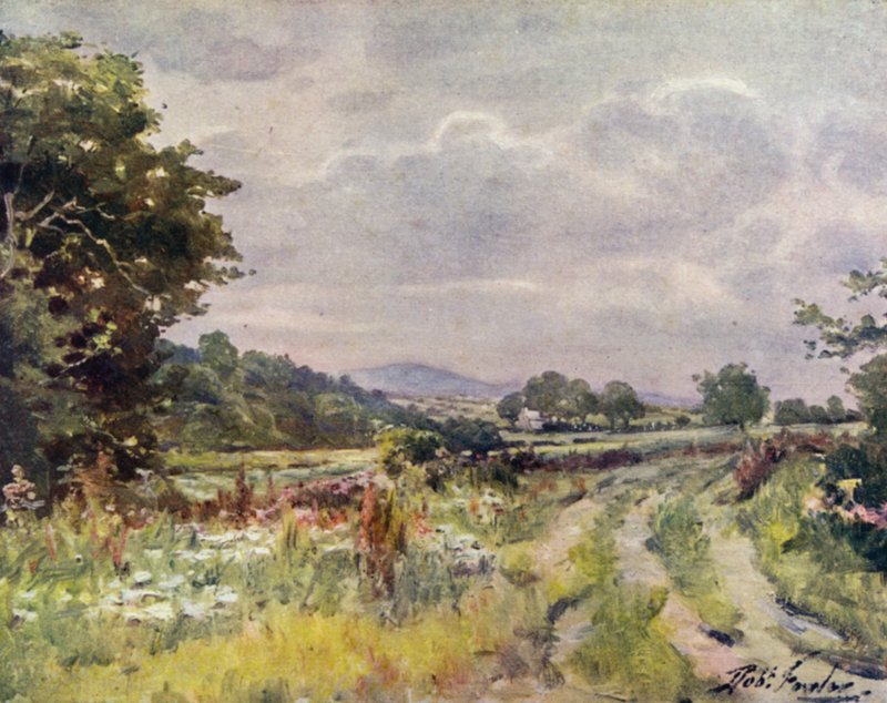 Country Lane (farve litho) af Robert (after) Fowler