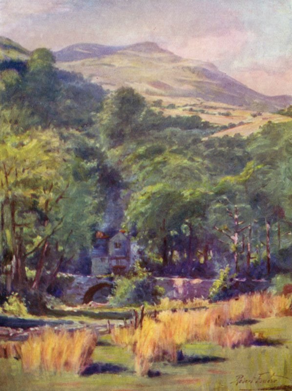 Duffws Mountain (farve litho) af Robert (after) Fowler