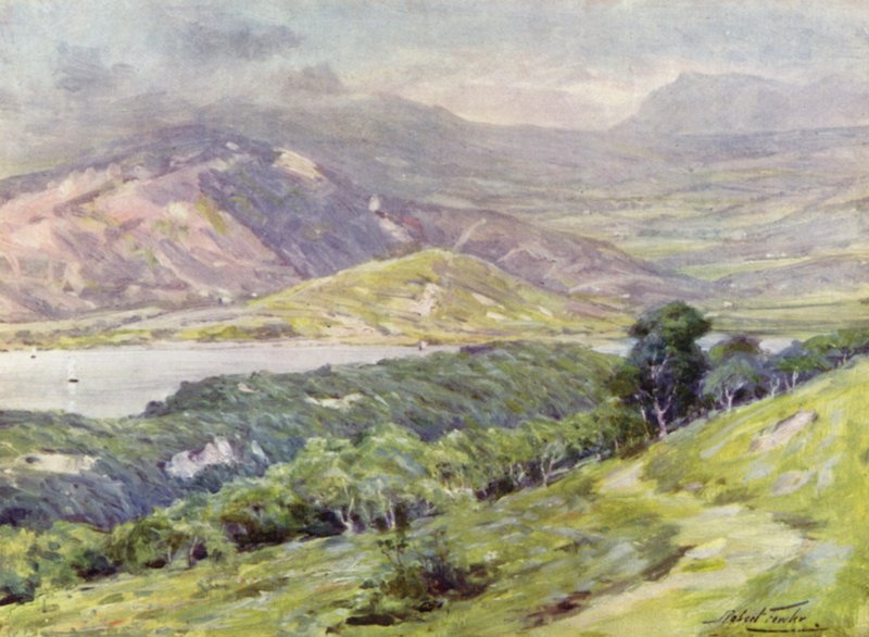 Duffws Mountain in Mist (farve litho) af Robert (after) Fowler