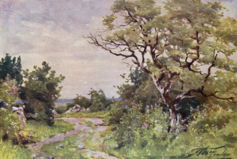 Marksti, nær Llanrug (farve litho) af Robert (after) Fowler