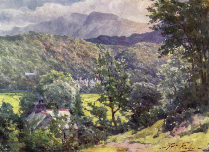 In the Woods, Farchynys, Barmouth Estuary (farve litho) af Robert (after) Fowler