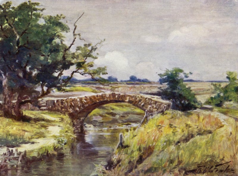 Old Roman Bridge, nær Swansea (farve litho) af Robert (after) Fowler