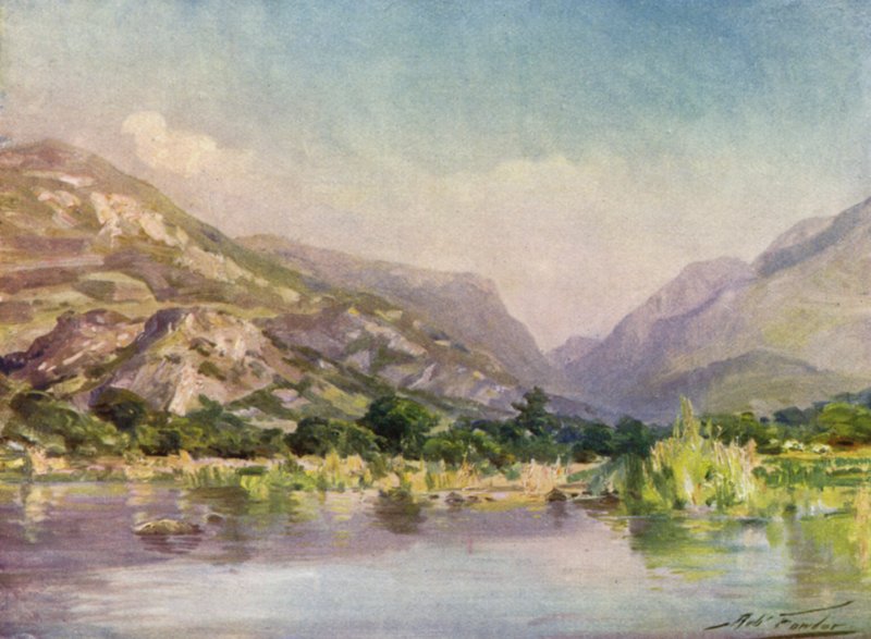 Ved floden Seiont, Carnarvonshire, aftenglimt (farvelitografi) af Robert (after) Fowler
