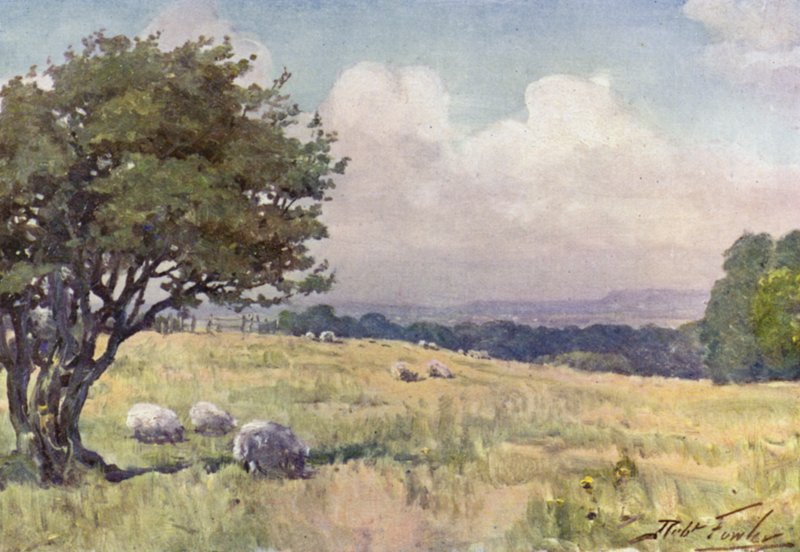 Sunny Field, nær Llanberis (farve litho) af Robert (after) Fowler