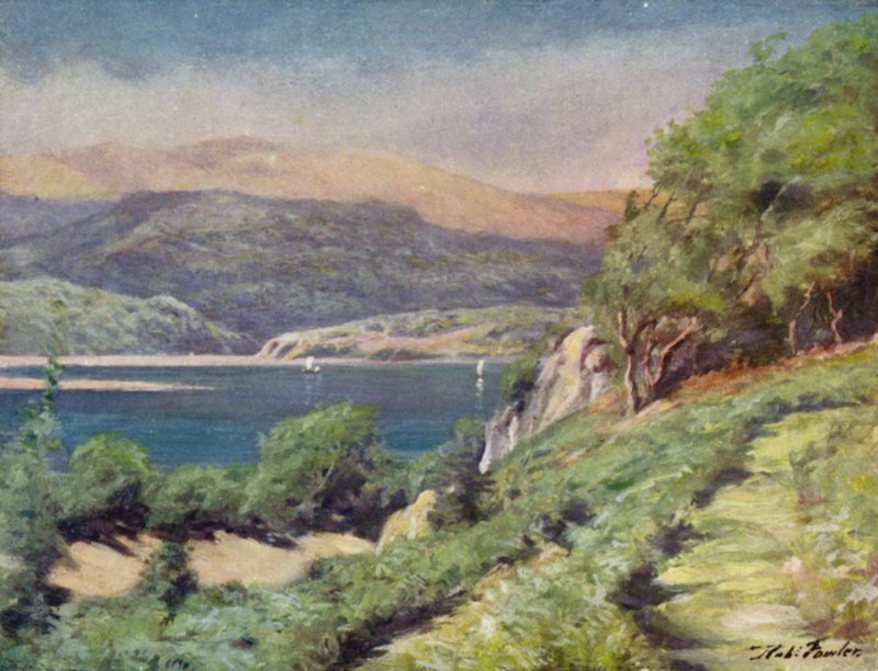 Tordenvejr, nær Dolgelly (farve litho) af Robert (after) Fowler