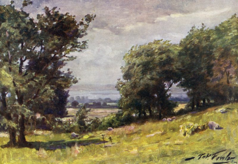 Blæsende dag, nær Llanrug (farve litografi) af Robert (after) Fowler