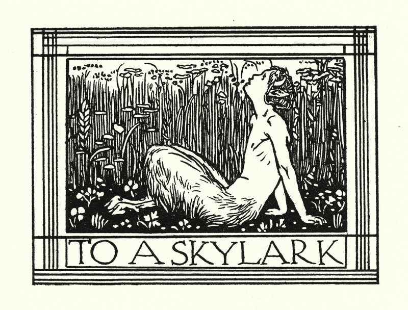Shelley: To A Skylark (litografi) af Robert Anning Bell