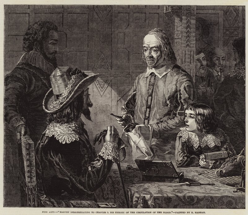 Harvey demonstrerer Charles I sin teori om blodets cirkulation af Robert Hannah