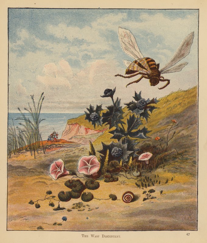 The Kitten Pilgrims: The Wasp Discontent (farve litho) af Robert Michael Ballantyne