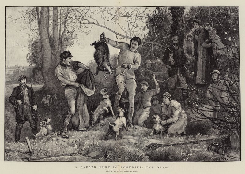 En grævlingjagt i Somerset, uafgjort af Robert Walker Macbeth