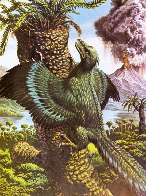 Archaeopteryx af Roger Payne
