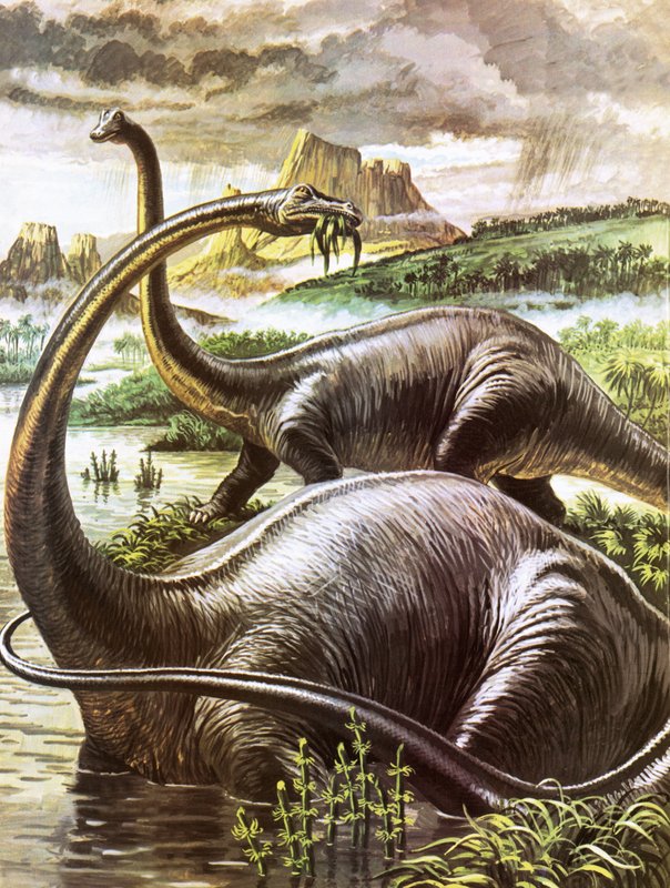 Diplodocus af Roger Payne
