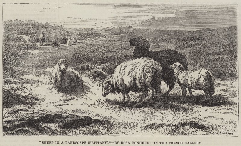 Får i et landskab, Bretagne af Rosa Bonheur