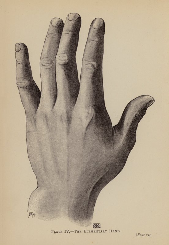 Den elementære hånd (litho) af Rosamund Brunel Horsley Gotch