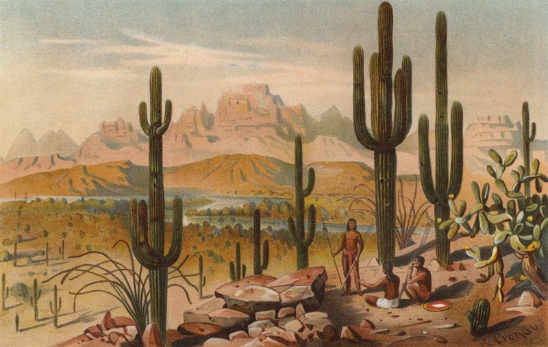 Kaktusser i bjergene i Utah, USA af Rudolf Cronau