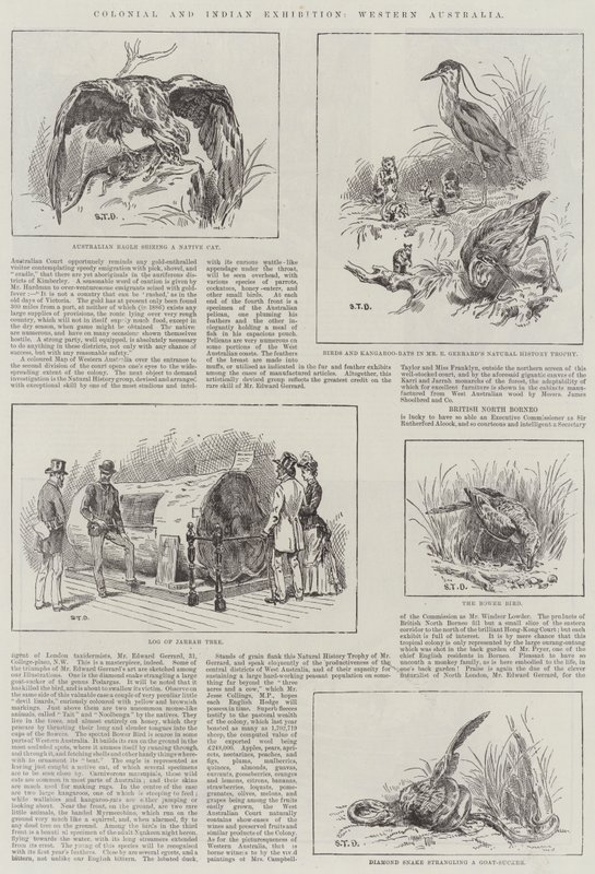 Colonial and Indian Exhibition, Western Australia af S.T. Dadd