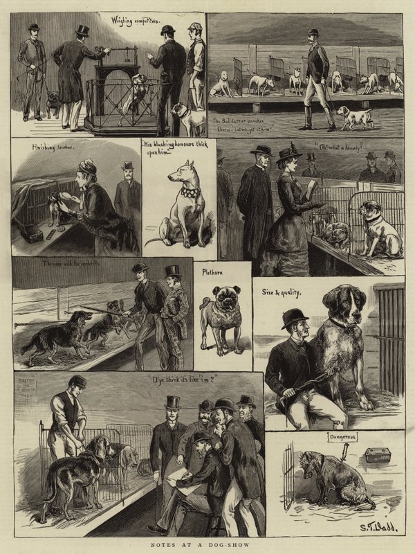 Noter ved et hundeudstilling af S.T. Dadd