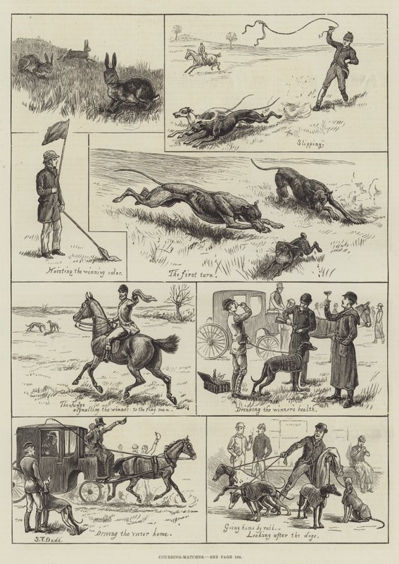 Coursing-kampe (gravering) af S.T. (after) Dadd