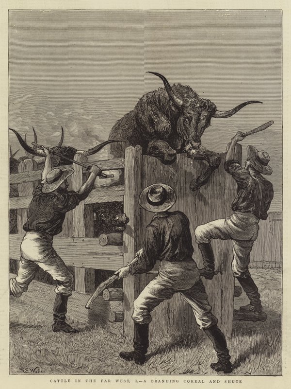 Kvæg i det fjerne vesten, I, en Branding Corral and Shute af Samuel Edmund Waller