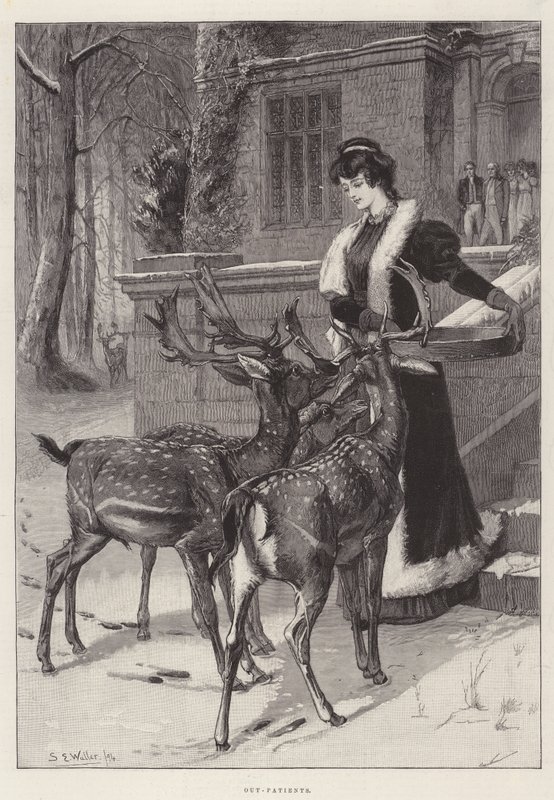 Ambulante patienter af Samuel Edmund Waller