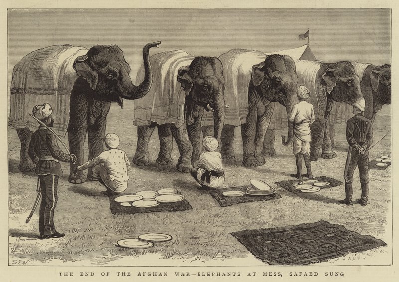 Afslutningen på den afghanske krig, Elephants at Mess, Safaed Sung af Samuel Edmund Waller