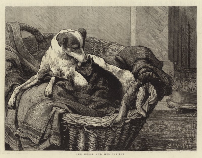 Sygeplejersken og hendes patient af Samuel Edmund Waller
