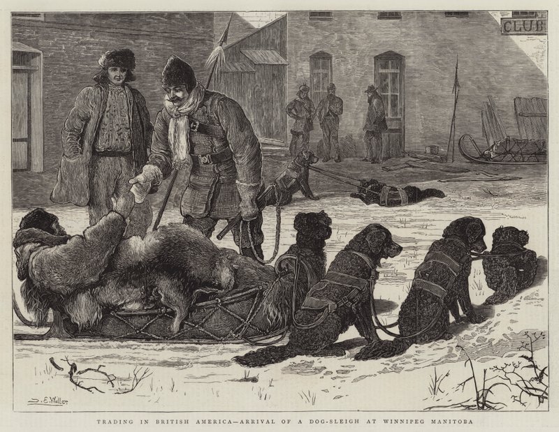 Handel i Britisk Amerika, Ankomst af en hundeslæde til Winnipeg Manitoba af Samuel Edmund Waller