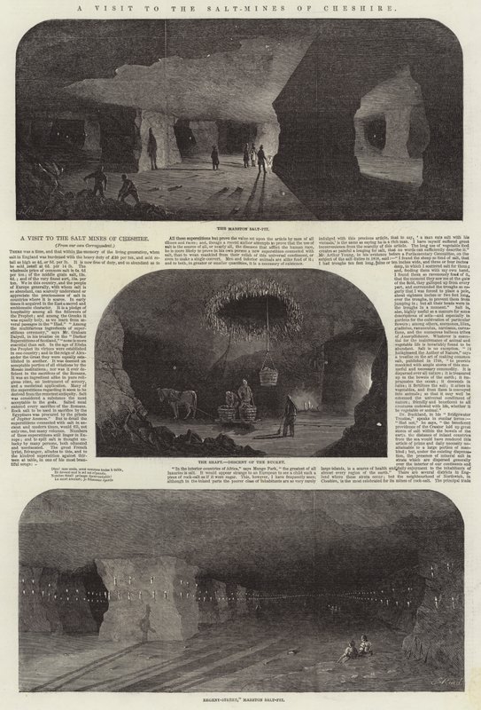 Et besøg i saltminerne i Cheshire af Samuel Read